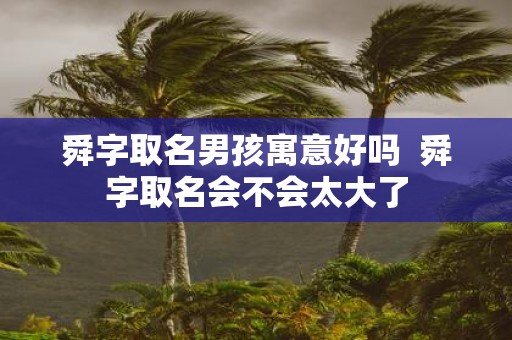 舜字取名男孩寓意好吗 舜字取名会不会太大了