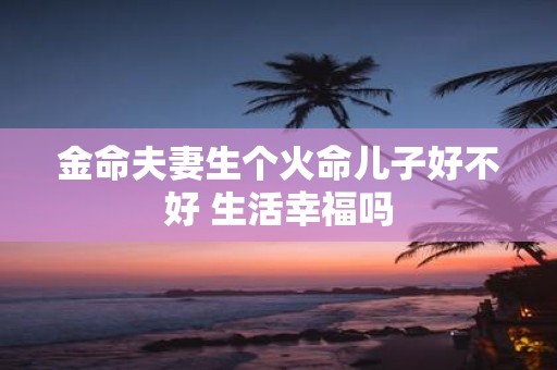金命夫妻生个火命儿子好不好 生活幸福吗
