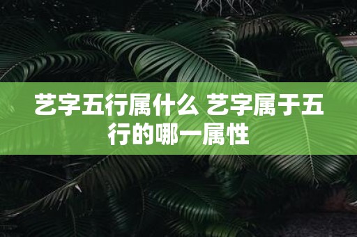艺字五行属什么 艺字属于五行的哪一属性