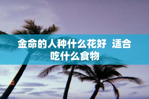 金命的人种什么花好 适合吃什么食物