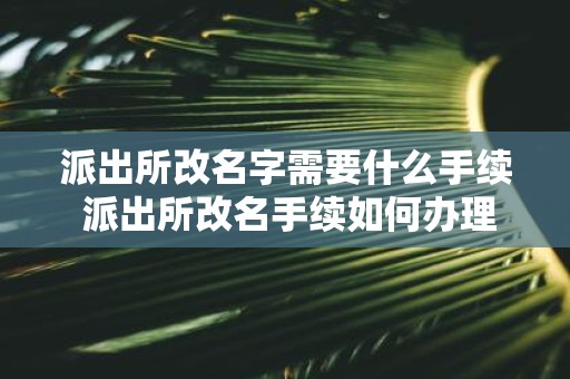 派出所改名字需要什么手续 派出所改名手续如何办理