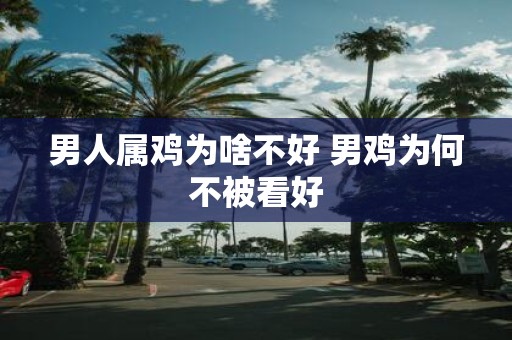 男人属鸡为啥不好 男鸡为何不被看好