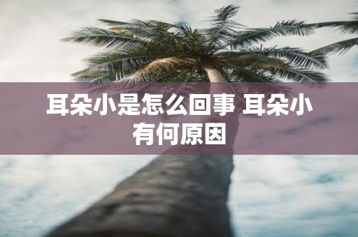 耳朵小是怎么回事 耳朵小有何原因