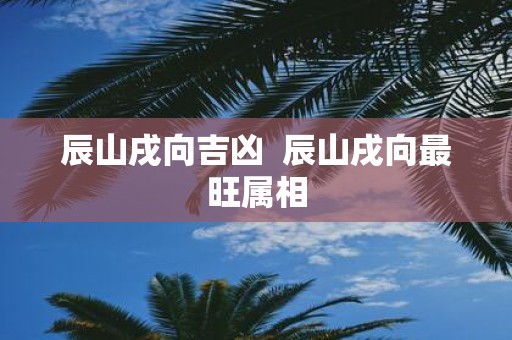 辰山戌向吉凶 辰山戌向最旺属相