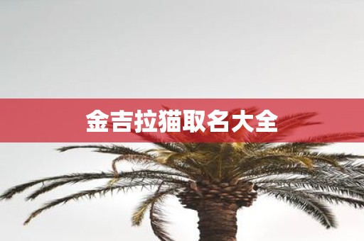 金吉拉猫取名大全