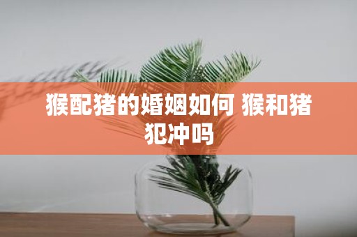 猴配猪的婚姻如何 猴和猪犯冲吗