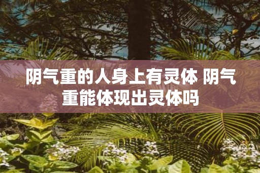 阴气重的人身上有灵体 阴气重能体现出灵体吗