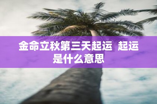 金命立秋第三天起运 起运是什么意思