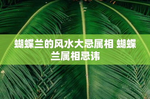 蝴蝶兰的风水大忌属相 蝴蝶兰属相忌讳