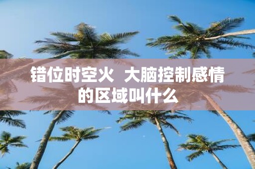 错位时空火 大脑控制感情的区域叫什么