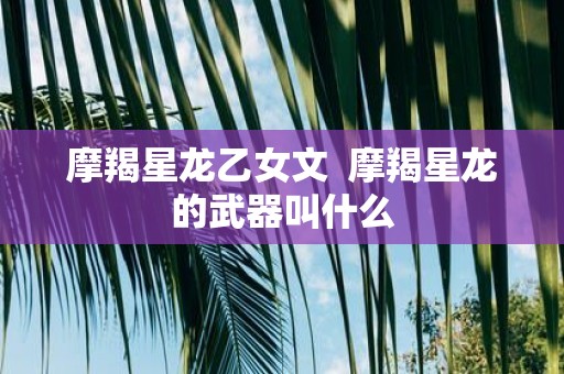 摩羯星龙乙女文 摩羯星龙的武器叫什么