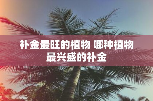 补金最旺的植物 哪种植物最兴盛的补金