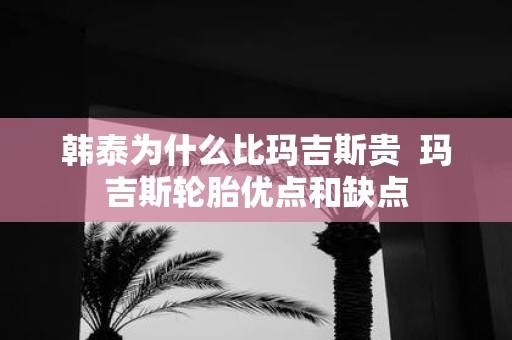 韩泰为什么比玛吉斯贵 玛吉斯轮胎优点和缺点