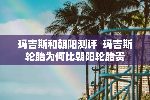 玛吉斯和朝阳测评 玛吉斯轮胎为何比朝阳轮胎贵