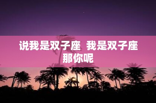 说我是双子座 我是双子座那你呢