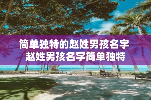 简单独特的赵姓男孩名字 赵姓男孩名字简单独特