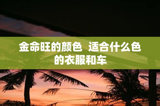 金命旺的颜色 适合什么色的衣服和车