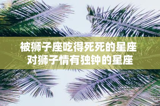 被狮子座吃得死死的星座 对狮子情有独钟的星座