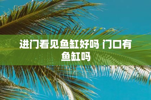 进门看见鱼缸好吗 门口有鱼缸吗