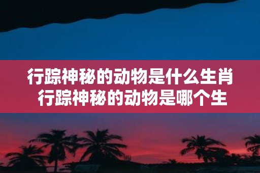 行踪神秘的动物是什么生肖 行踪神秘的动物是哪个生肖