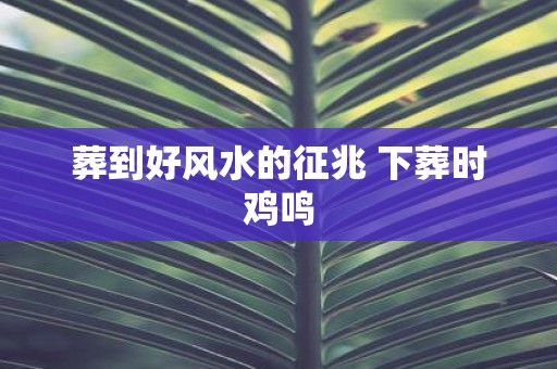 葬到好风水的征兆 下葬时鸡鸣