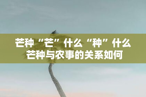 芒种“芒”什么“种”什么 芒种与农事的关系如何