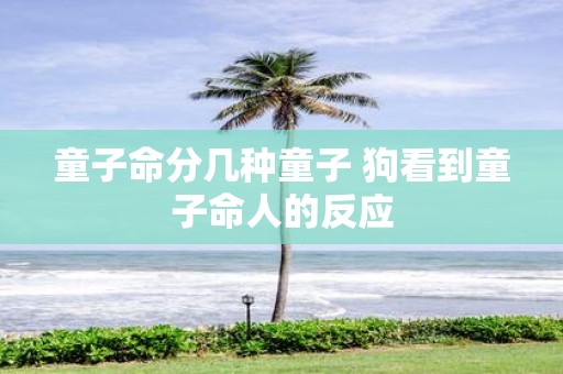 童子命分几种童子 狗看到童子命人的反应