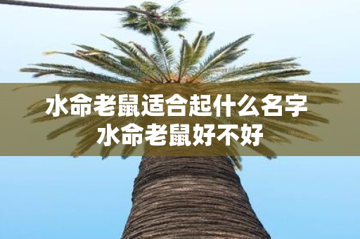水命老鼠适合起什么名字 水命老鼠好不好