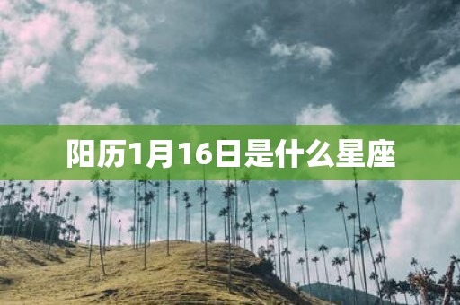 阳历1月16日是什么星座