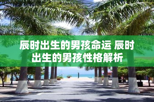 辰时出生的男孩命运 辰时出生的男孩性格解析
