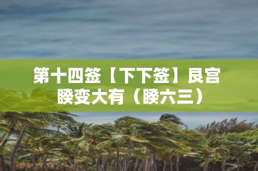第十四签【下下签】艮宫 睽变大有（睽六三）
