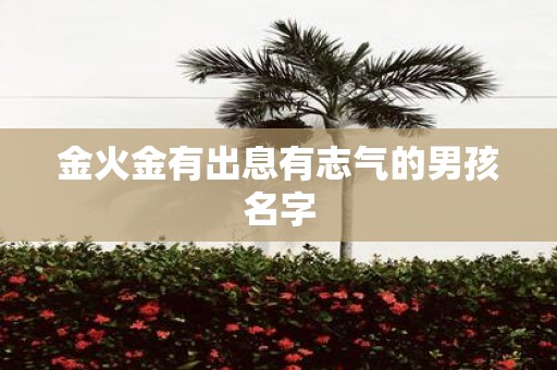 金火金有出息有志气的男孩名字