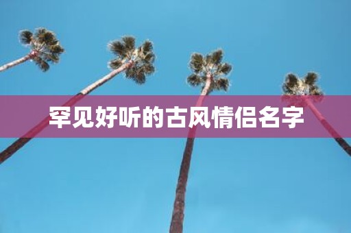 罕见好听的古风情侣名字