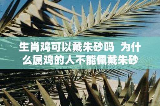 生肖鸡可以戴朱砂吗 为什么属鸡的人不能佩戴朱砂