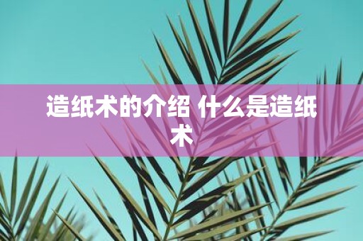 造纸术的介绍 什么是造纸术 造纸术的介绍 什么是造纸术