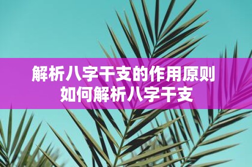 解析八字干支的作用原则 如何解析八字干支