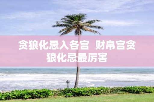 贪狼化忌入各宫 财帛宫贪狼化忌最厉害