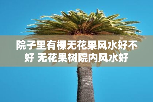 院子里有棵无花果风水好不好 无花果树院内风水好