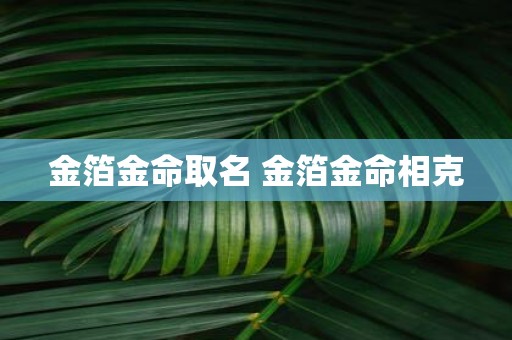金箔金命取名 金箔金命相克