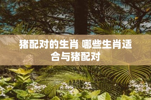 猪配对的生肖 哪些生肖适合与猪配对