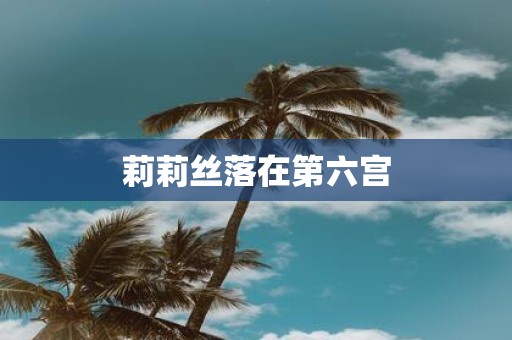莉莉丝落在第六宫