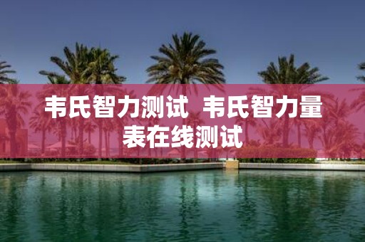 韦氏智力测试 韦氏智力量表在线测试