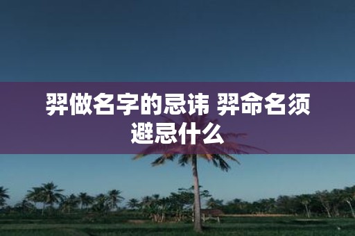 羿做名字的忌讳 羿命名须避忌什么