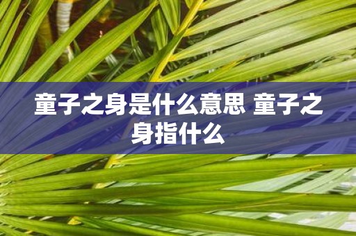 童子之身是什么意思 童子之身指什么