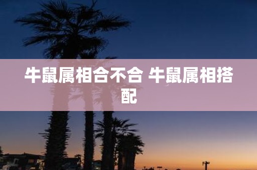 牛鼠属相合不合 牛鼠属相搭配