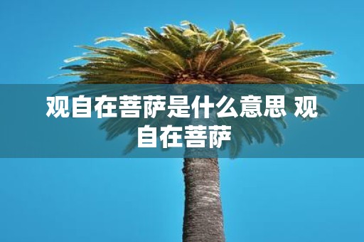 观自在菩萨是什么意思 观自在菩萨