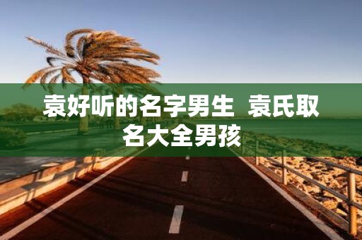 袁好听的名字男生 袁氏取名大全男孩