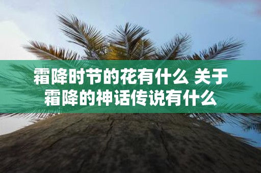 霜降时节的花有什么 关于霜降的神话传说有什么