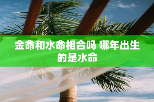 金命和水命相合吗 哪年出生的是水命