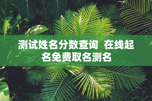 测试姓名分数查询 在线起名免费取名测名